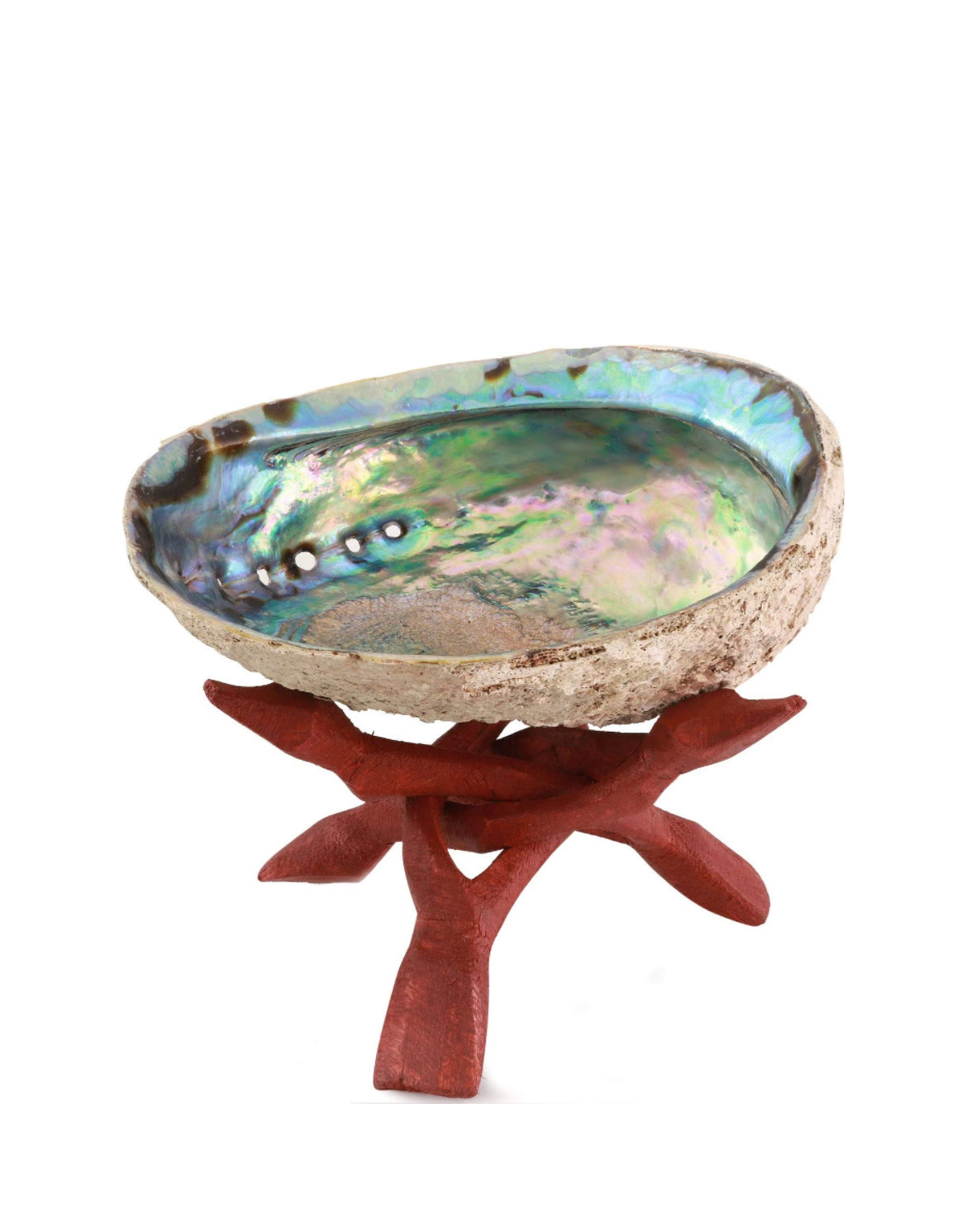 Abalone Shell Incense holder
