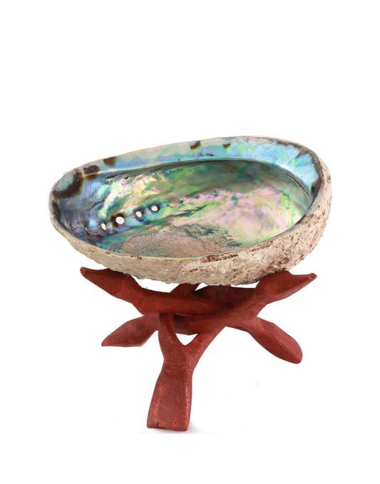 Abalone Shell Incense holder